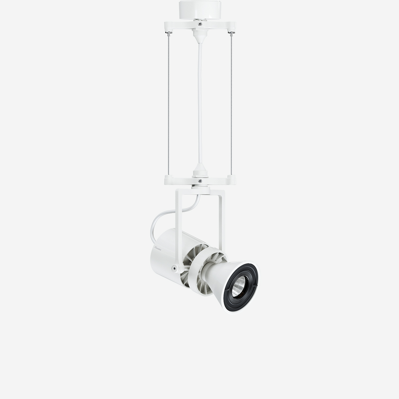 Le Perroquet surface ø55mm pendant