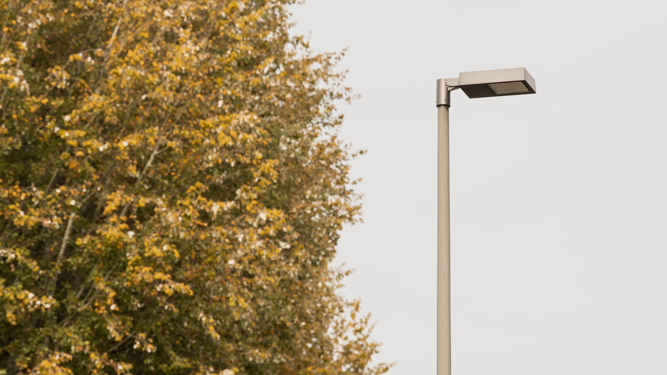 Conical pole