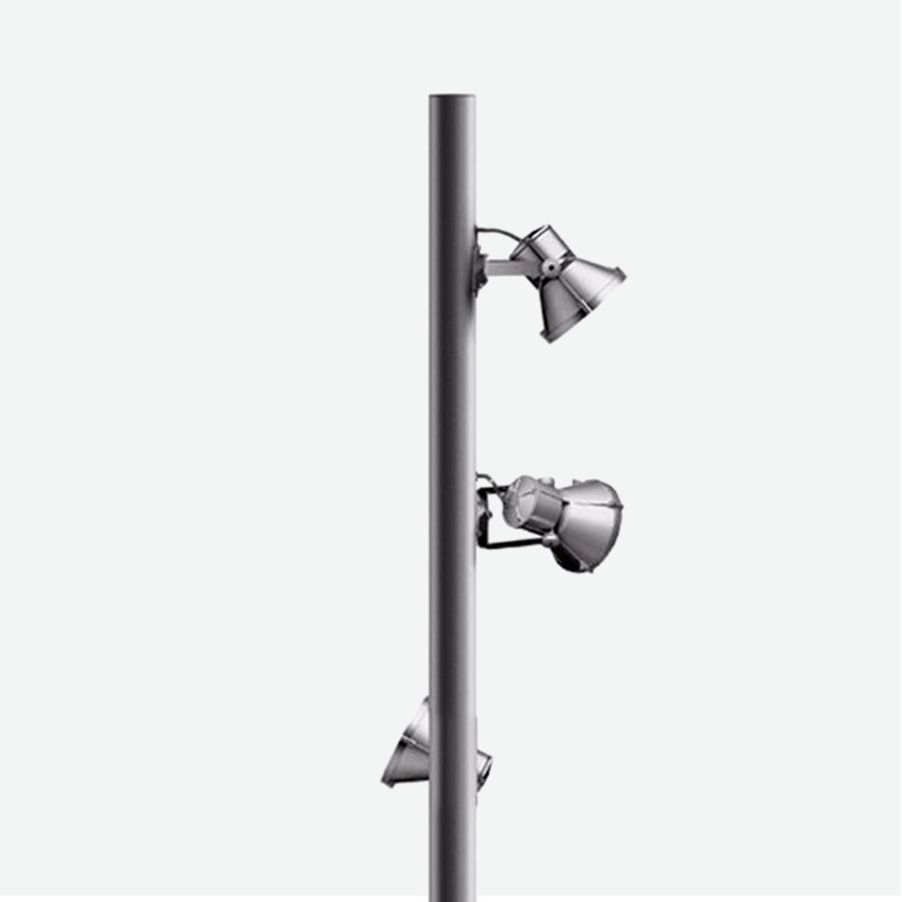 MultiWoody minimal and connected pole